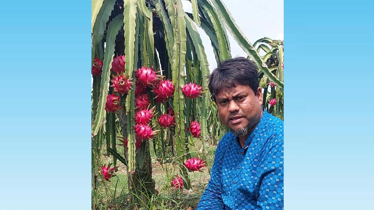 পতিত জমিতে ড্রাগন ও মাল্টা চাষে সফল ছয় ভাইরাভাই