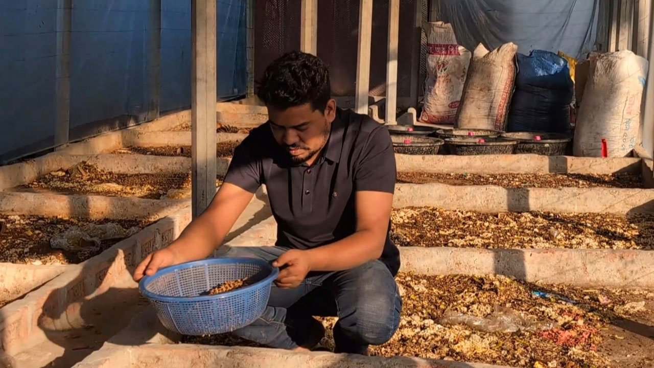 ইউটিউব দেখে পোকা চাষে মাসে ২ লাখ টাকা আয় শিমুলের