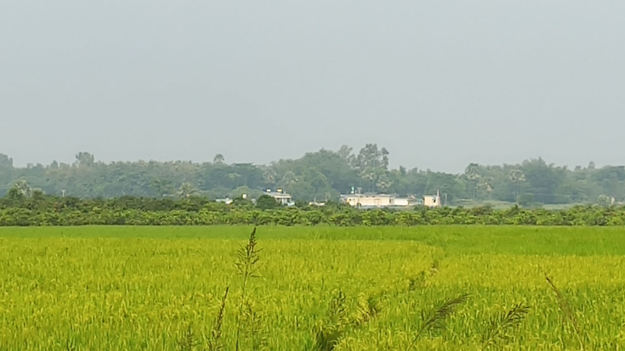বিএসএফ-এর পুশইন প্রচেষ্টা রুখে দিল বিজিবি