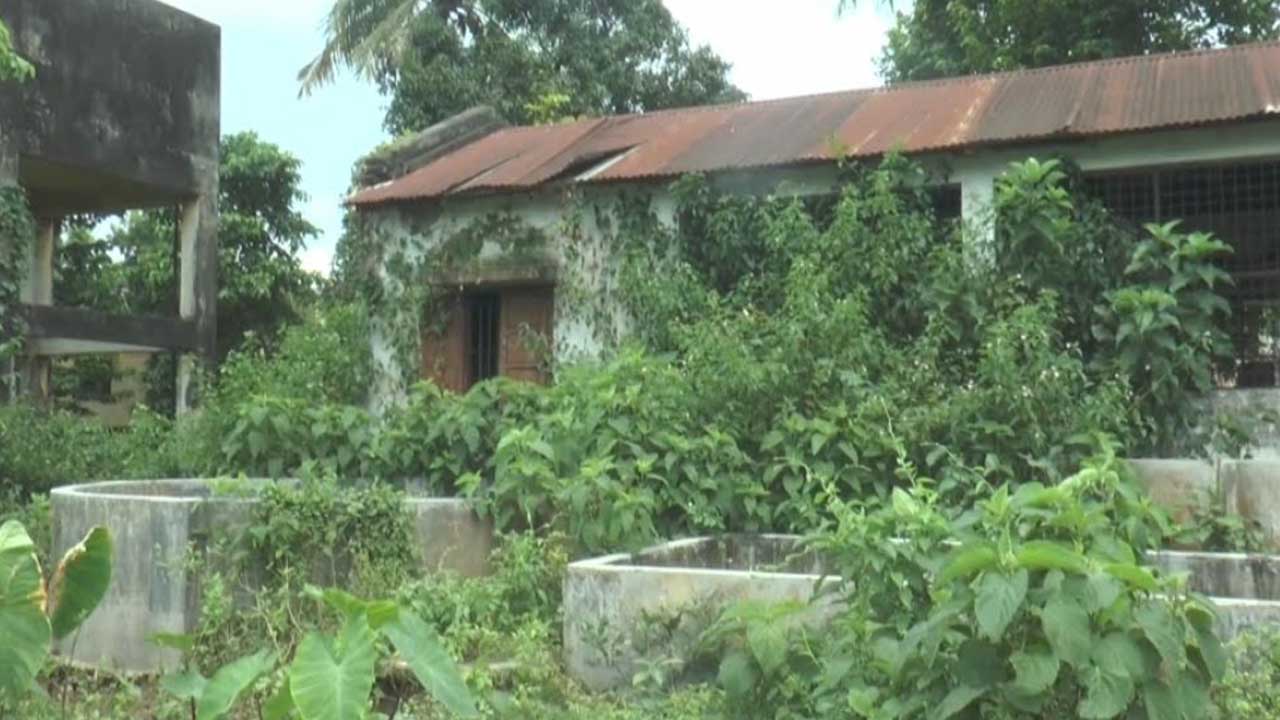 মেহেরপুরে সরকারি মৎস্য হ্যাচারি বন্ধ থাকায় বাড়ছে মাছ চাষের খরচ