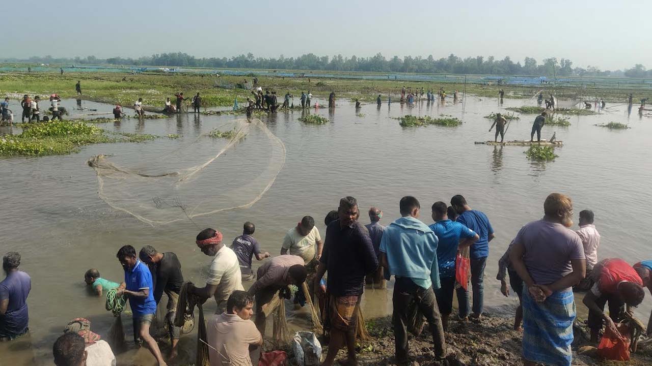 বুড়িরবাঁধে মাছ ধরার উৎসবে বড় মাছের আকাল